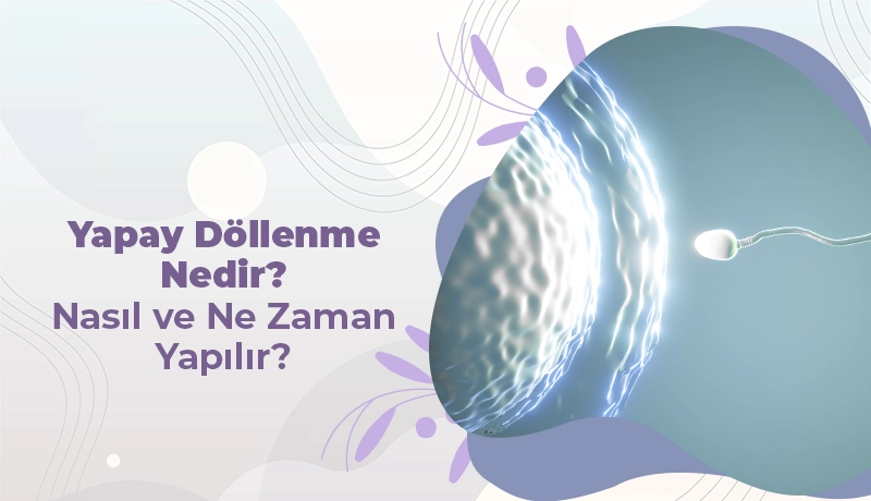 Yapay Döllenme Nedir? Nasıl ve Ne Zaman Yapılır?