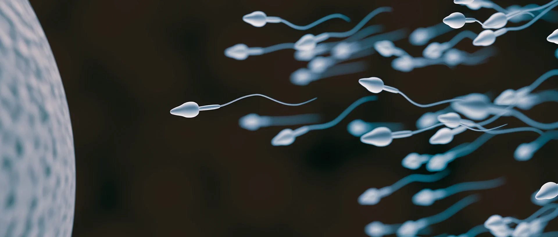 Spermiyogram