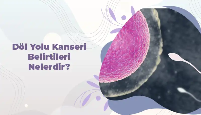 Döl yolu kanseri belirtileri içerik kapağı